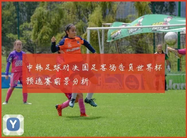 中韩足球对决国足客场告负世界杯预选赛前景分析