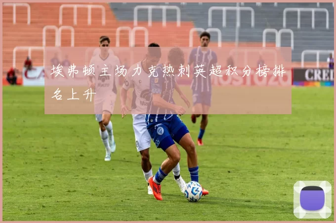 埃弗顿主场力克热刺英超积分榜排名上升