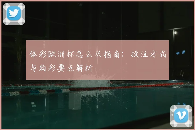 体彩欧洲杯怎么买指南:投注方式与购彩要点解析